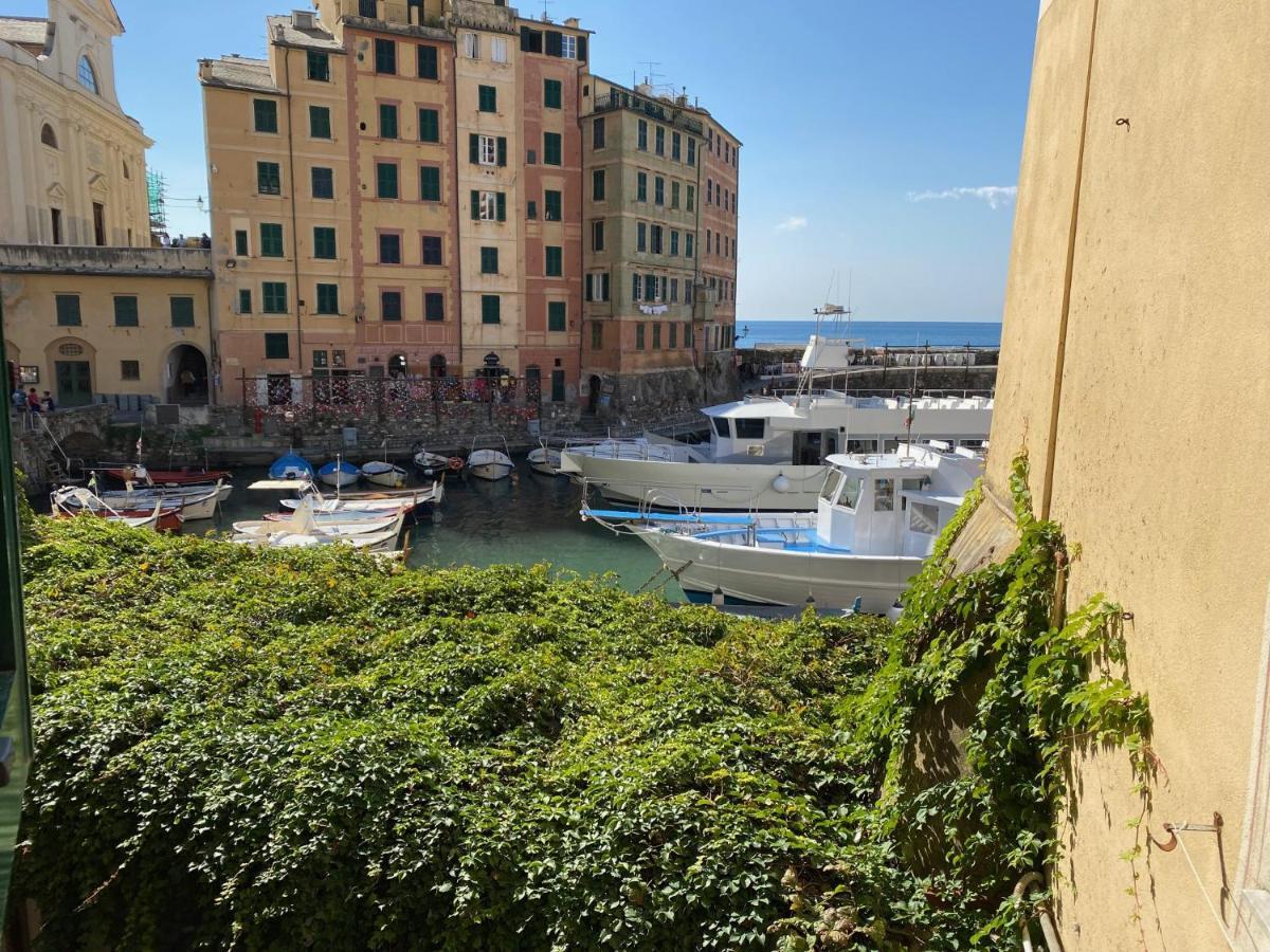 Camogli - "La Casa Di Judi" - Liguria Holidays Kültér fotó